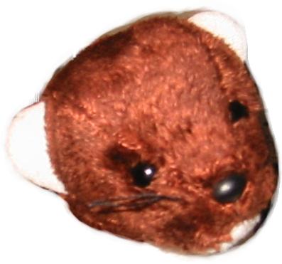 stoatopic